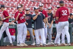 Dugout2