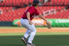 Luzmoor5